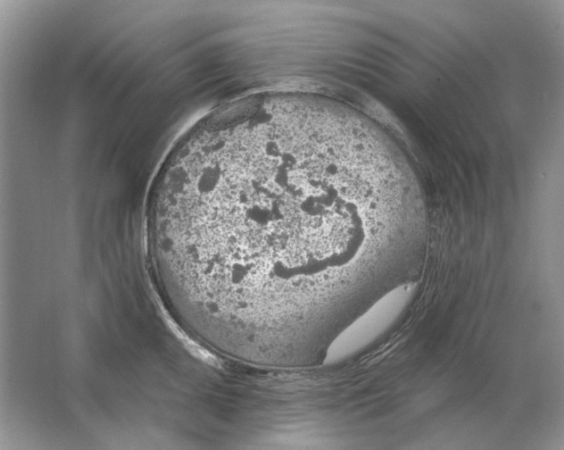 X0000063451095200602171851