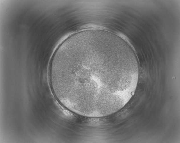 X0000063451098200602171851