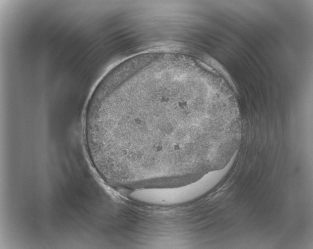 X0000063451099200602171851