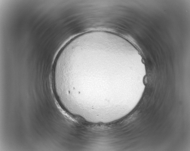 X0000063451100200602171851