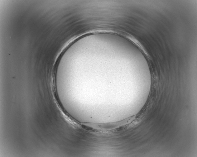 X0000063451101200602171851