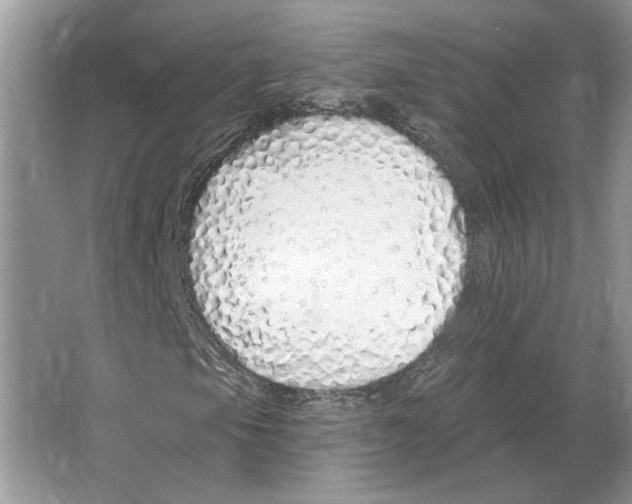 X0000063451105200602171850