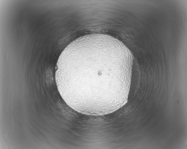 X0000063451106200602171850