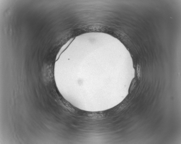 X0000063451107200602171850