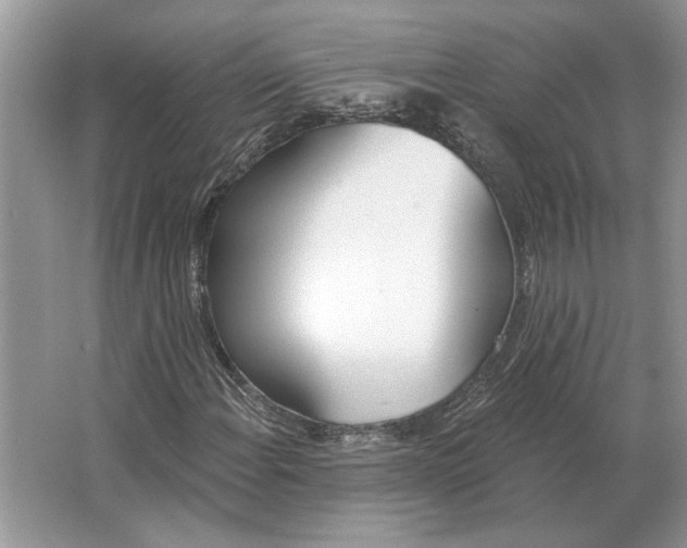 X0000063451108200602171850