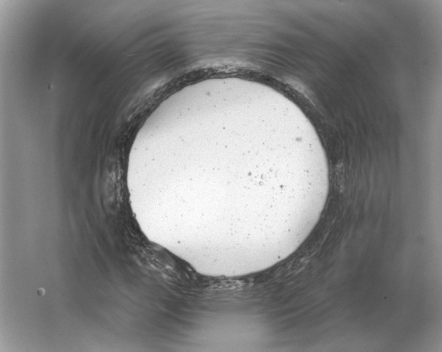 X0000063451111200602171850