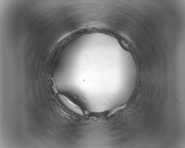 X0000063451112200602171850