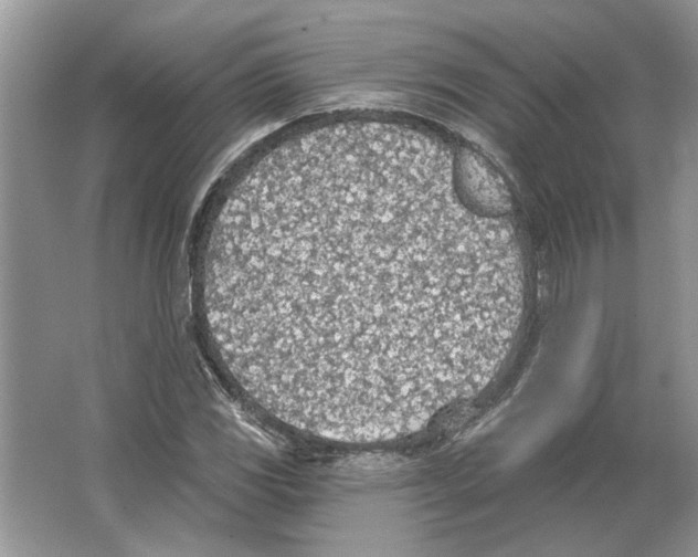 X0000063451117200602171850