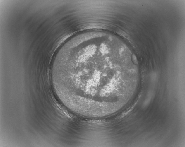 X0000063451121200602171850