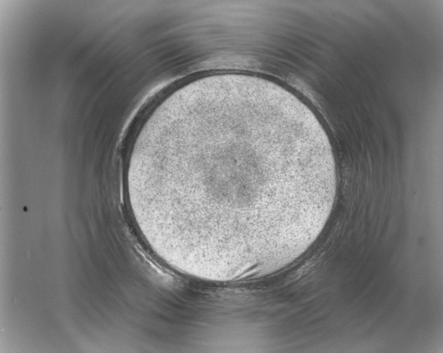 X0000063451123200602171850