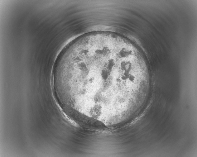 X0000063451125200602171850