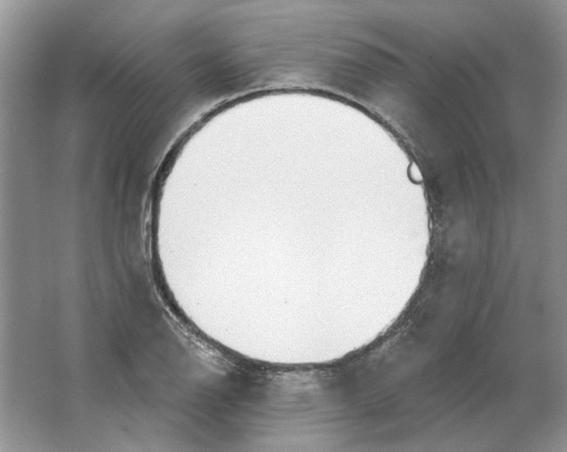 X0000063451126200602171850