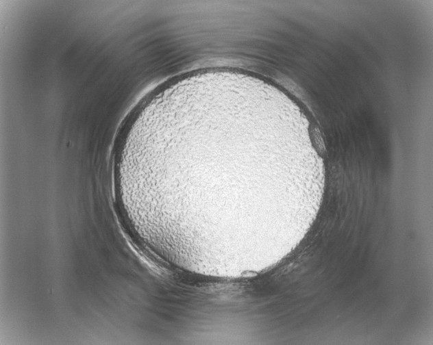 X0000063451127200602171850