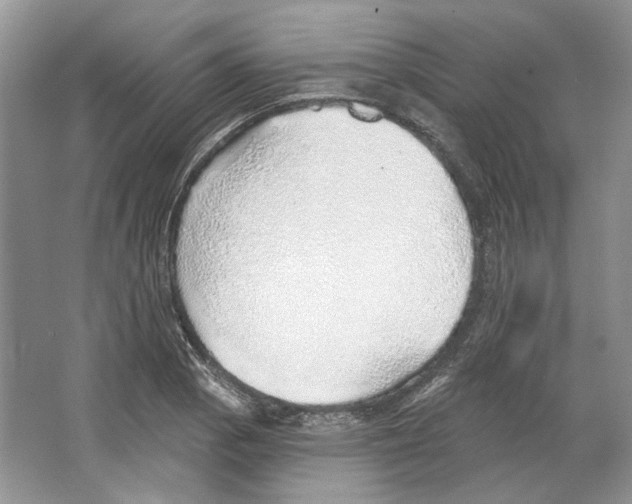 X0000063451129200602171850