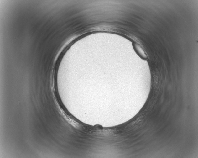 X0000063451131200602171851