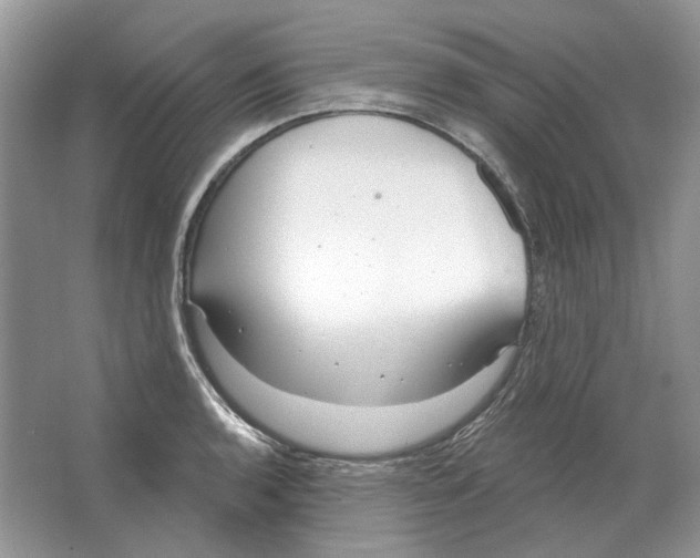 X0000063451136200602171851