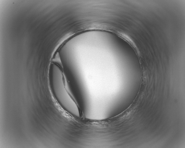 X0000063451138200602171851