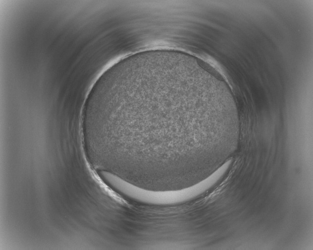 X0000063451142200602171851