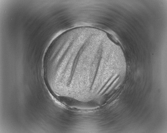 X0000063451143200602171851