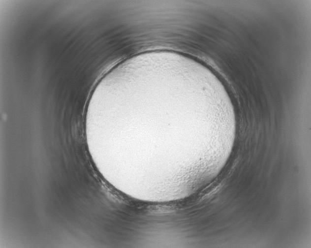 X0000063451145200602171851