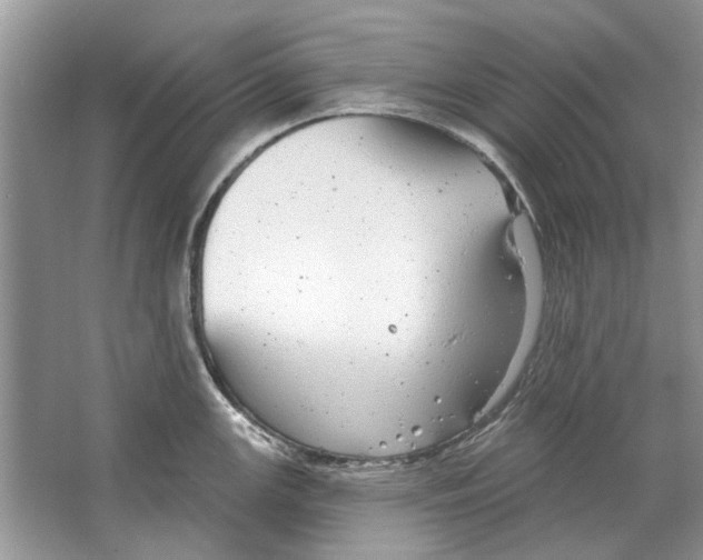 X0000063451147200602171851