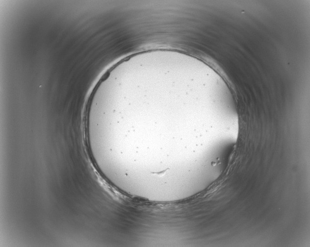 X0000063451148200602171851