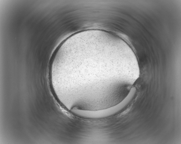 X0000063451149200602171851