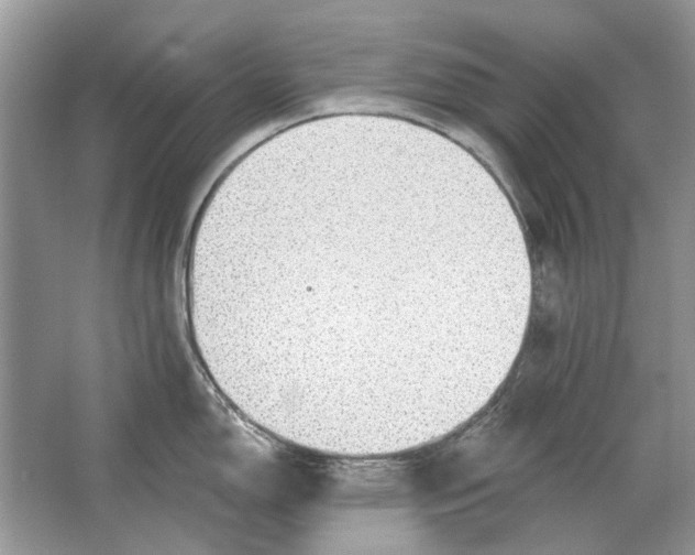 X0000063451150200602171851