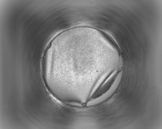 X0000063451151200602171851