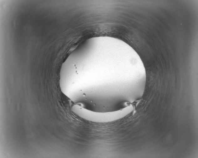 X0000063451153200602171850