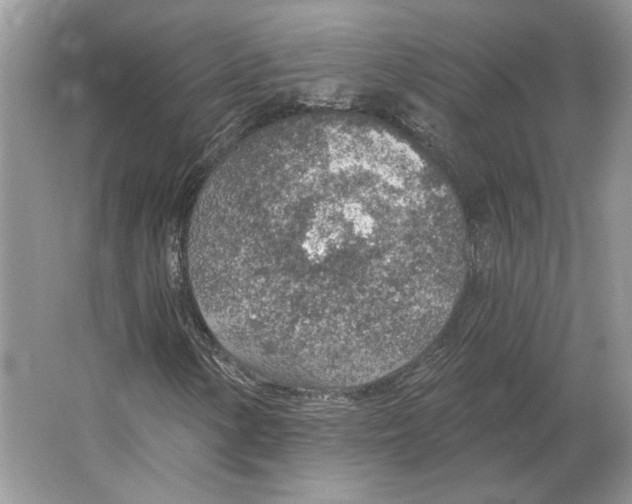 X0000063451154200602171850