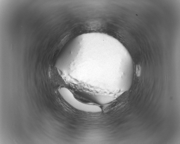 X0000063451155200602171850