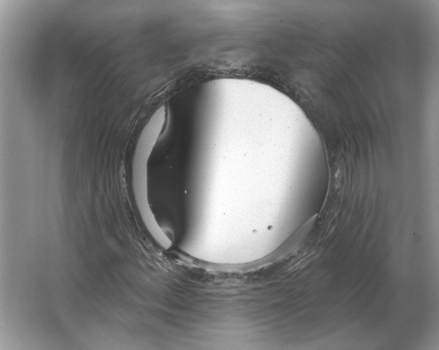 X0000063451156200602171850