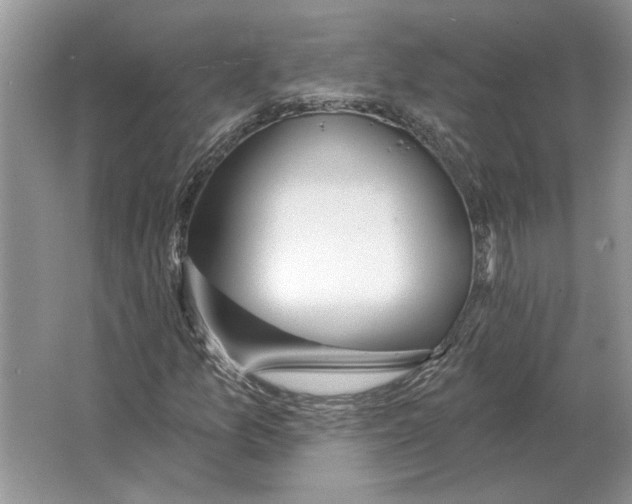 X0000063451157200602171850