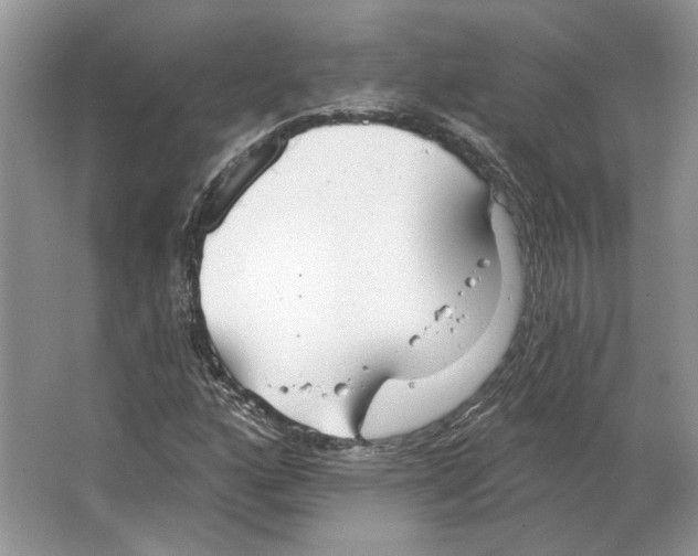 X0000063451160200602171850