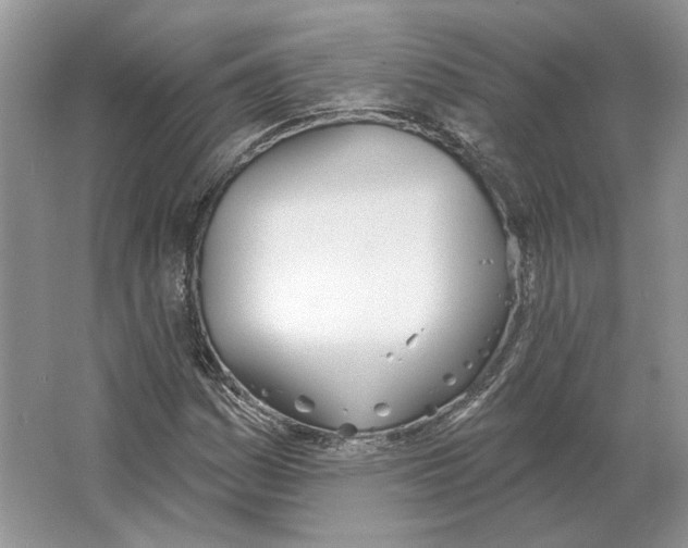 X0000063451161200602171850