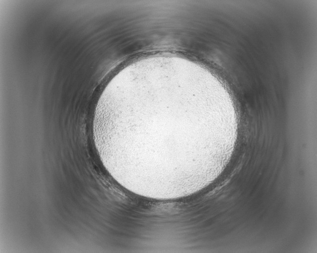 X0000063451162200602171850