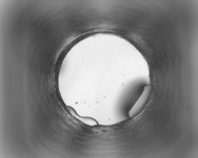 X0000063451164200602171850