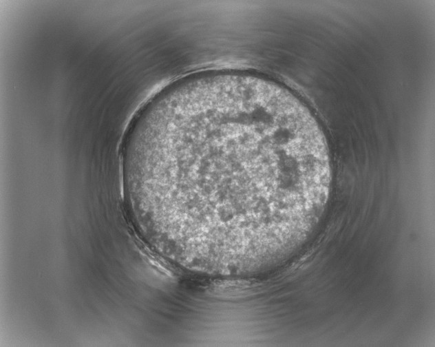 X0000063451171200602171850