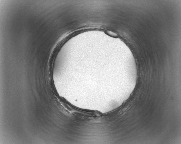 X0000063451172200602171850