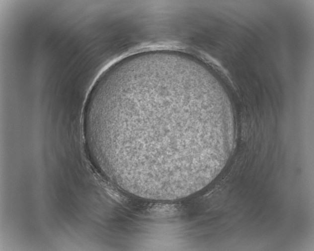 X0000063451174200602171850