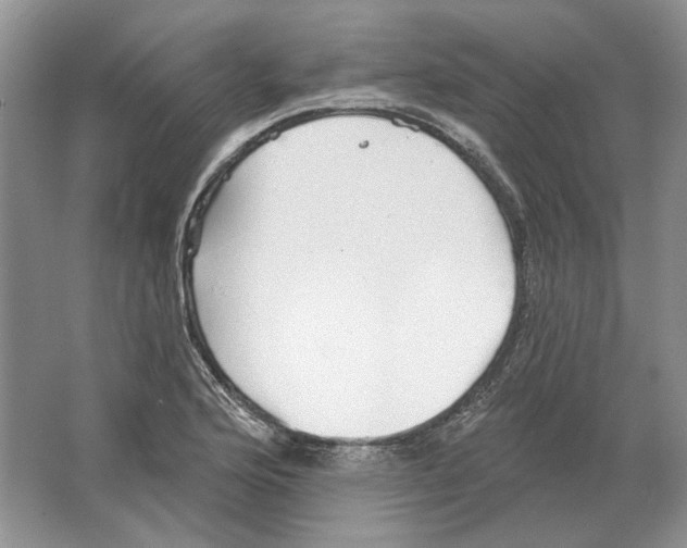 X0000063451176200602171850