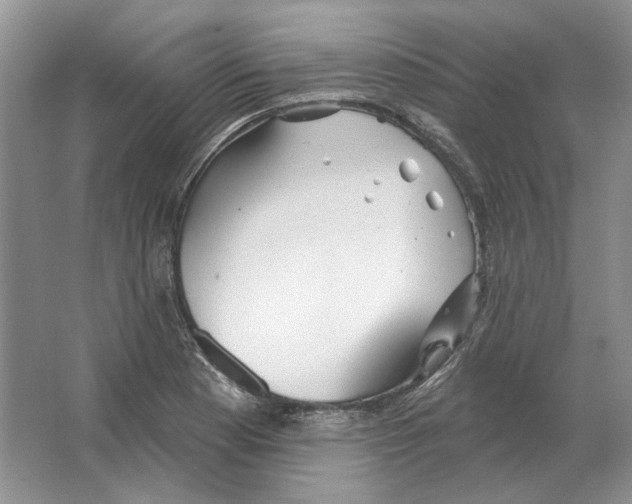 X0000063451177200602171850