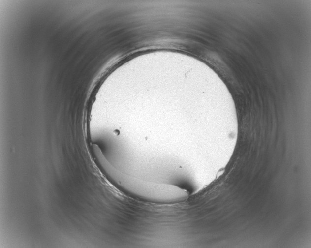 X0000063451180200602171850