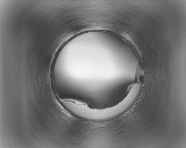 X0000063451181200602171849