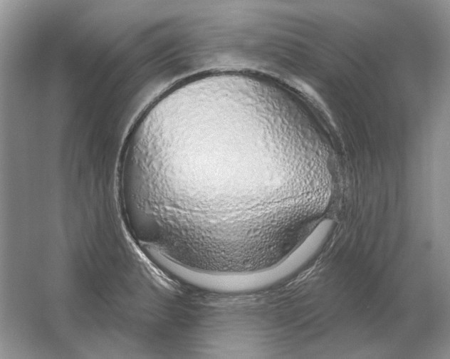 X0000063451183200602171849