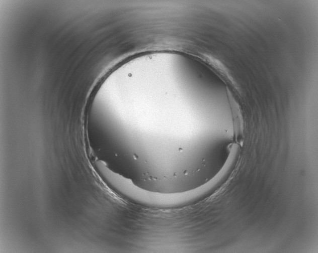 X0000063451184200602171849