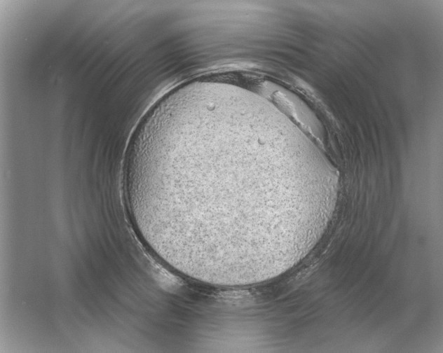 X0000063451186200602171849