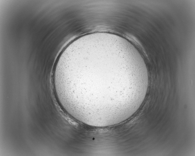 X0000063451190200602171849