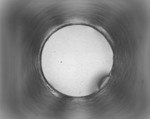 X0000063451191200602171849